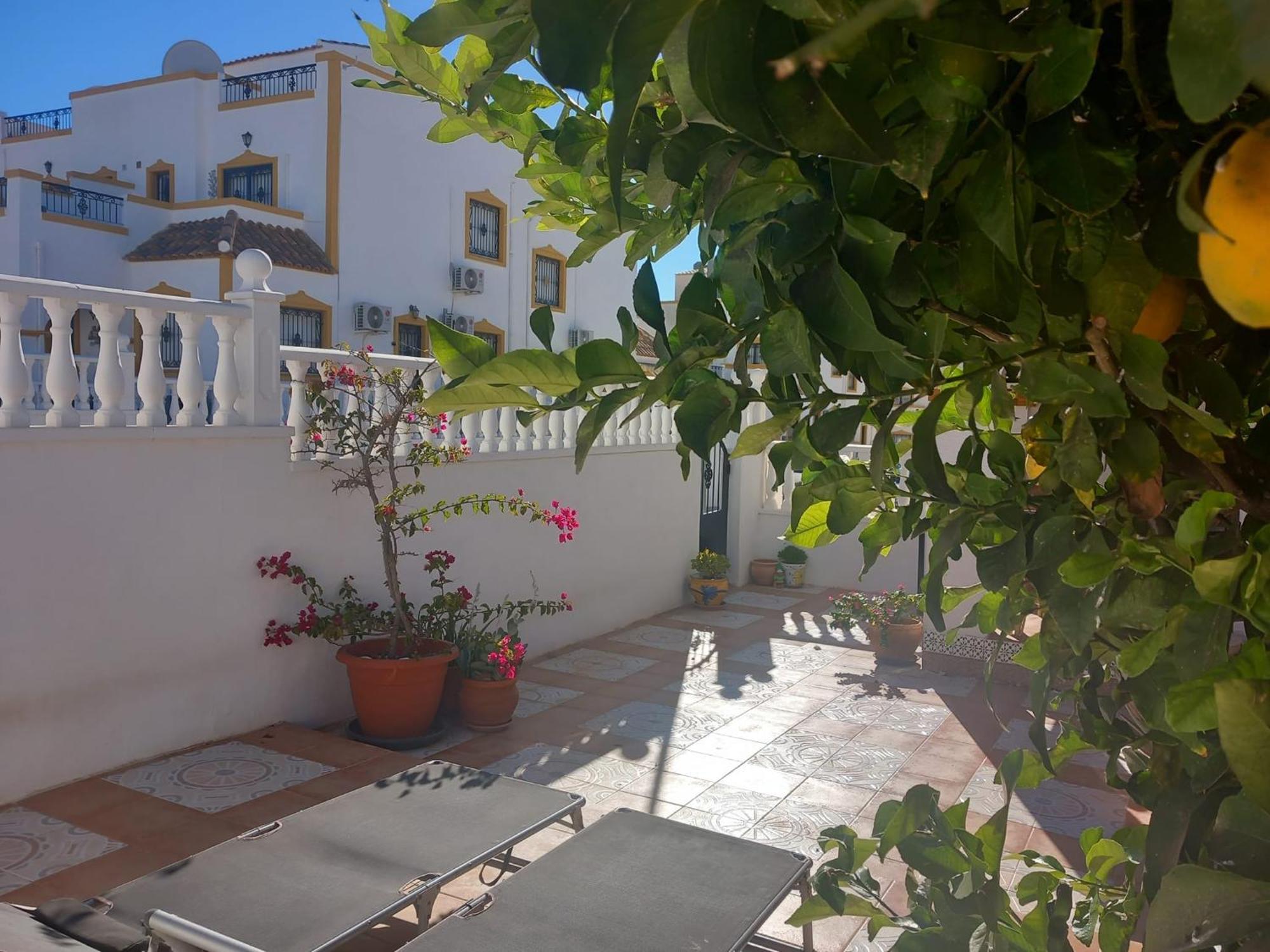 A Room With A Sun View Orihuela Exteriör bild